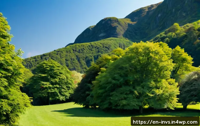 A Practical Value Investing Plan for Building Long-Term Wealth 4 가치 투자로 자산증식을 위한 전략 관련 이미지 2